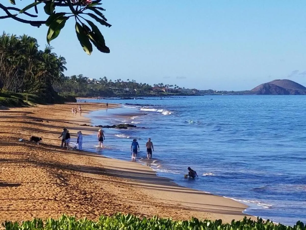 Nyaraló Hale Kamaole 152 Villa Wailea Amerikai Egyesült Államok